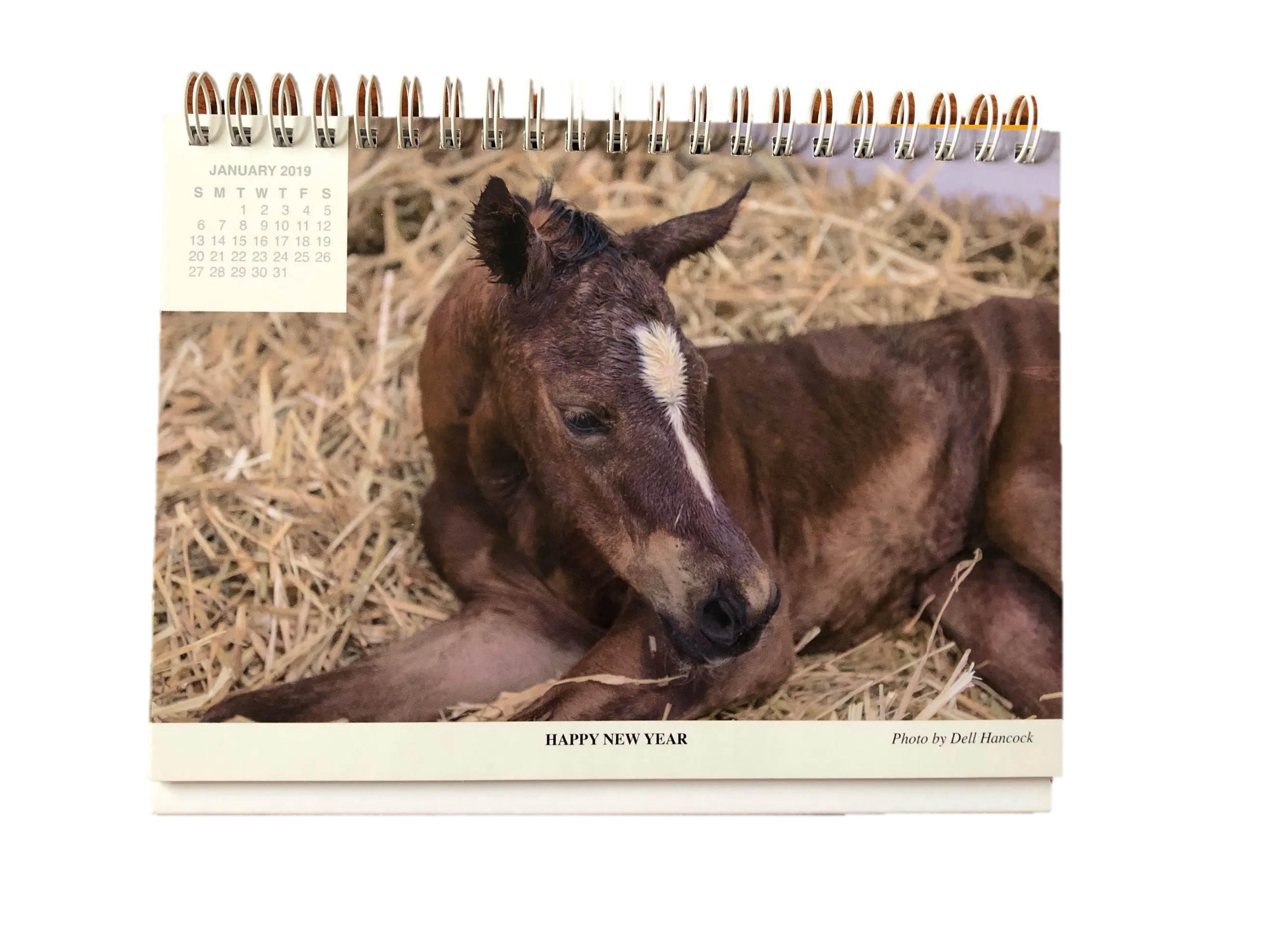 Desk Calendar