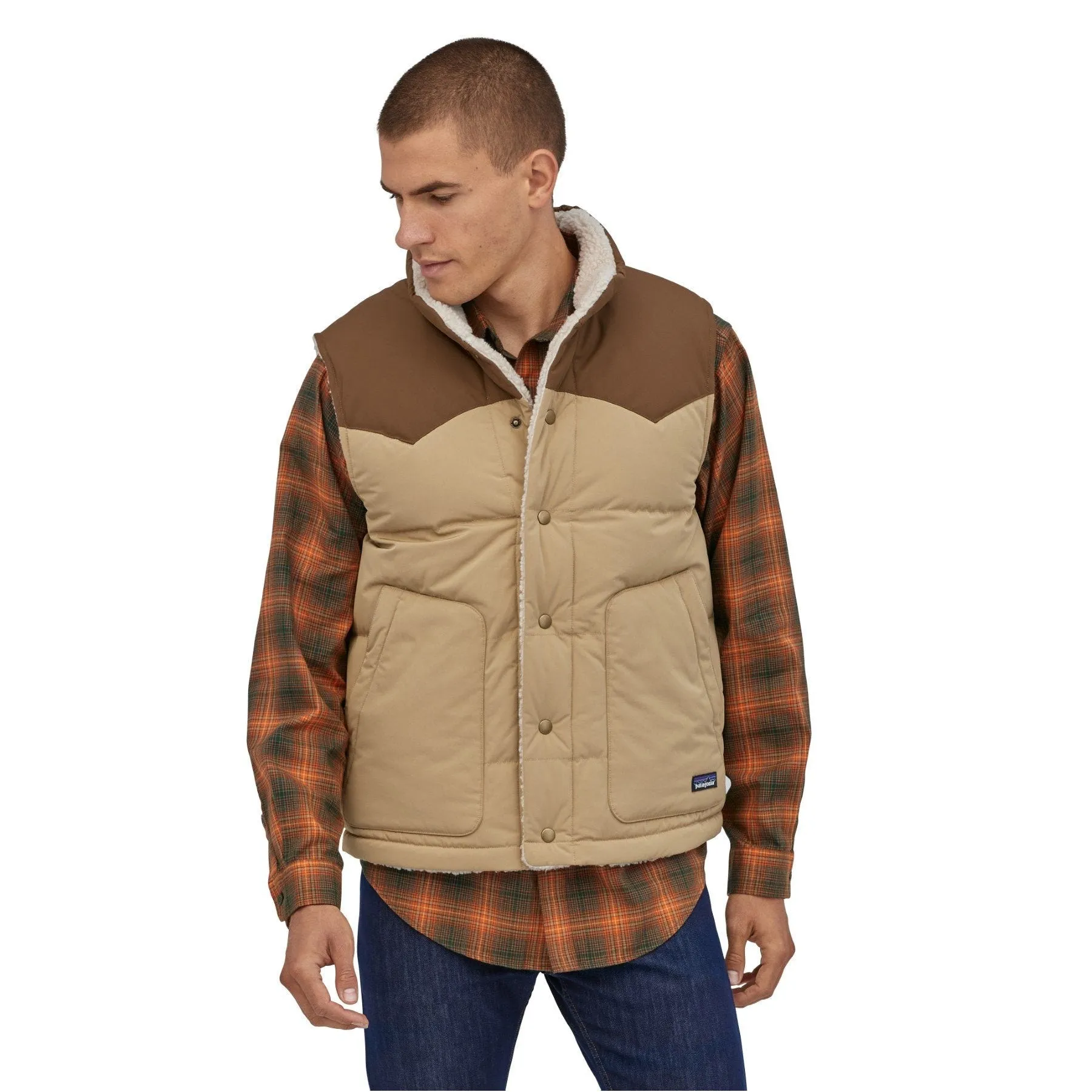 Patagonia Men's Reversible Bivy Down Vest